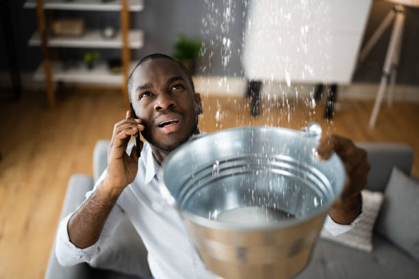 Best Sewage cleanup and water damage restoration  in New London, MN