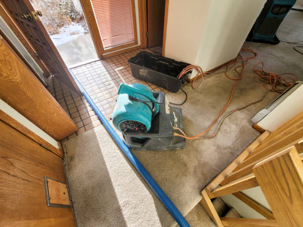 Best Basement water damage restoration  in New London, MN