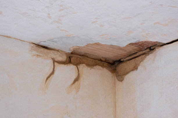 Best Ceiling water damage repair  in New London, MN