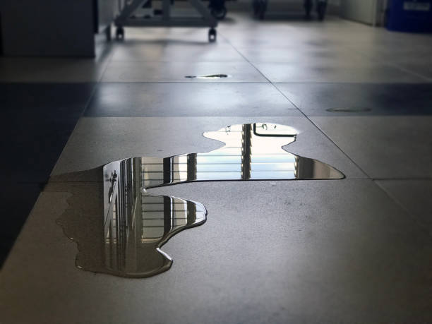 Best Water damage restoration near me  in New London, MN