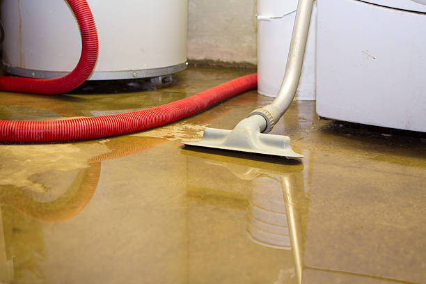 Best 24/7 water damage repair  in New London, MN