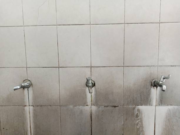 Best Water damage restoration cost  in New London, MN