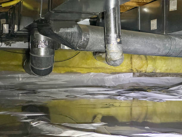 Best Flooded house restoration  in New London, MN