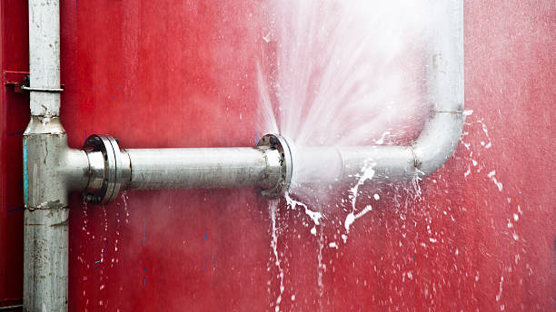 Best Water damage restoration near me  in New London, MN