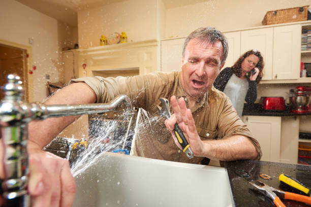 Best Water damage contractors near me  in New London, MN
